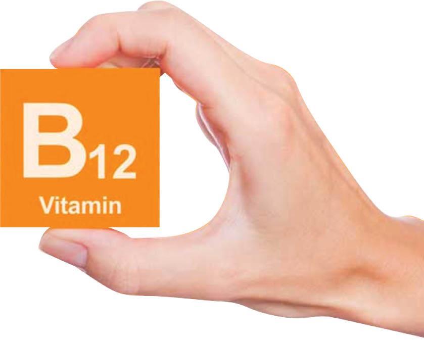 با منابع ویتامین B12 آشنا شوید با منابع ویتامین B12 آشنا شوید