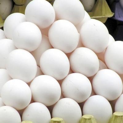 ترکاشوند: 60 هزار تن تخم مرغ در نیمه اول امسال صادر شد