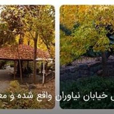 معرفی پارک های معروف در گوشه و کنار تهران