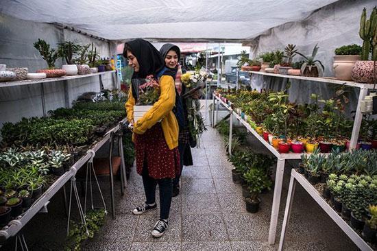 مقاله: بهترین باغ گل های تهران کدامند؟