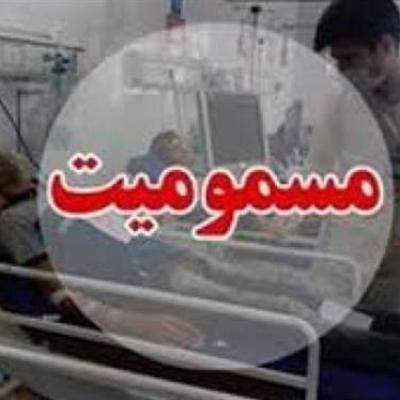 طراحی باغ و ویلا: مسمومیت 17 نفر بر اثر مونوکسید کربن در باغ های اطراف گراش