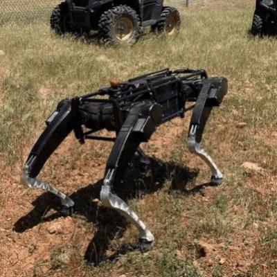 سگ های رباتیک امریکایی عضو نیروی گشت شدند!